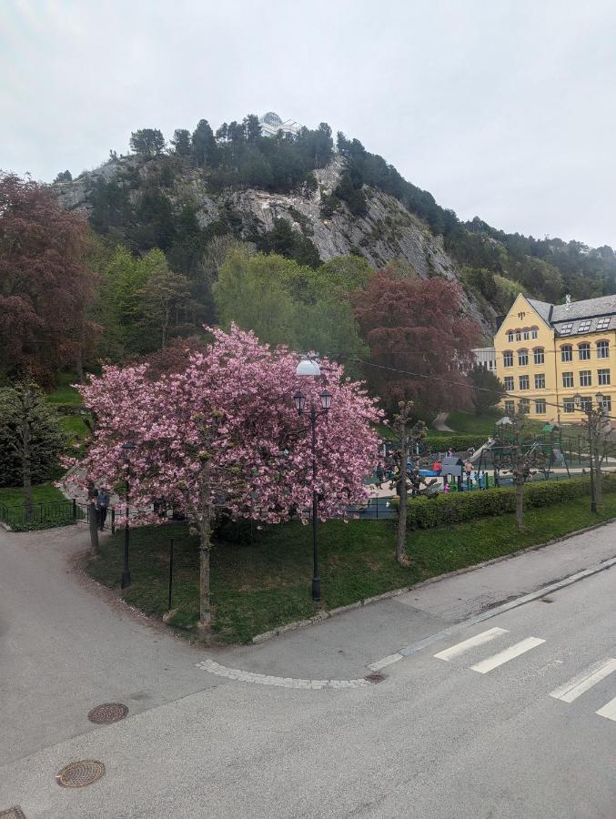 Family Friendly Apartment By The Park In The Very Center Of Ålesund Exterior foto